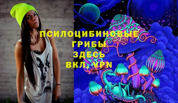 прущие грибы Магадан